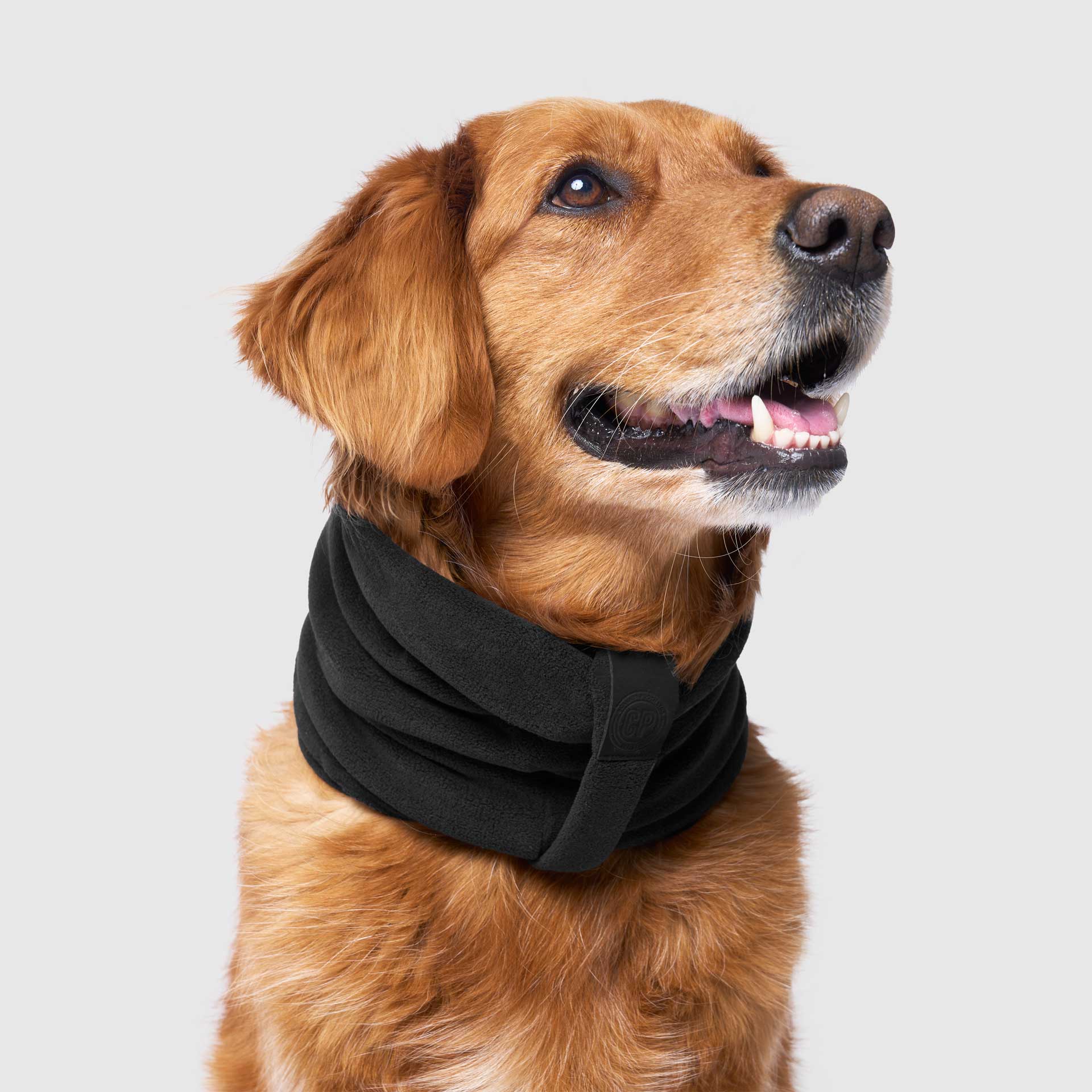 Stretch Fleece Scarf