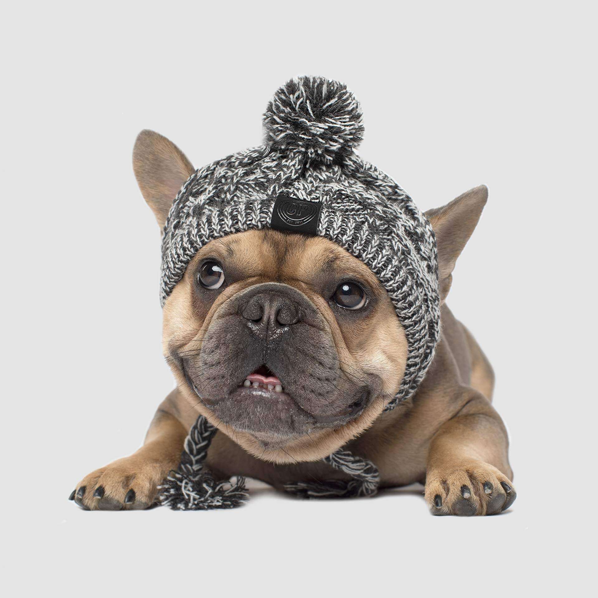 Polar Pom Pom Hat
