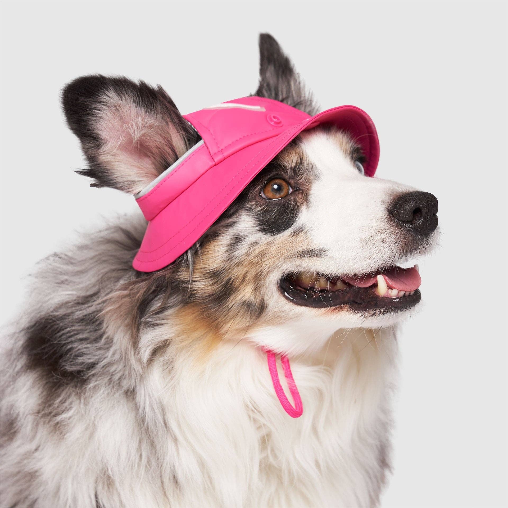 Torrential Tracker Rain Hat- Dog Hat