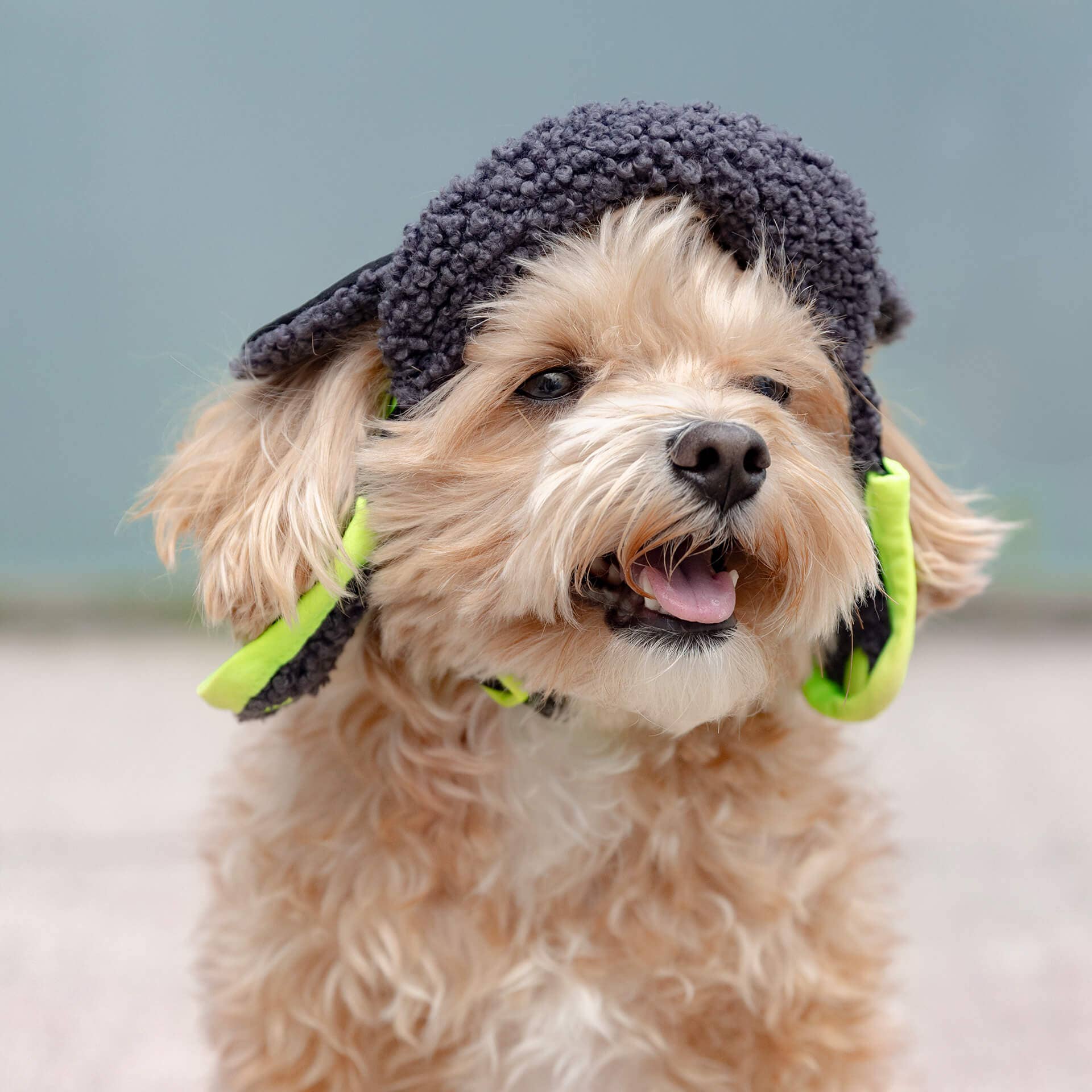 Cool Factor Aviator Hat
