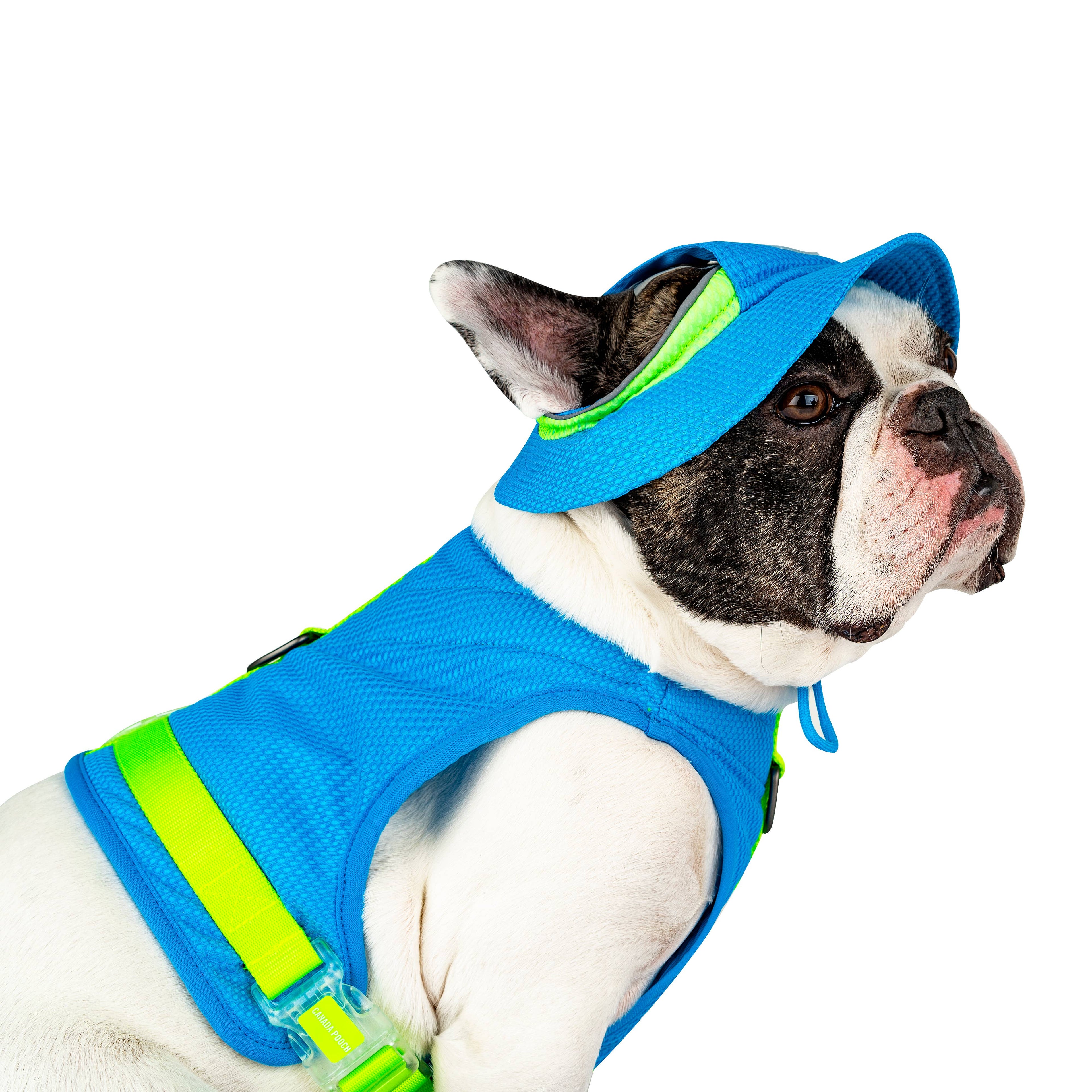 Chill Seeker Cooling Dog Hat (Blue)