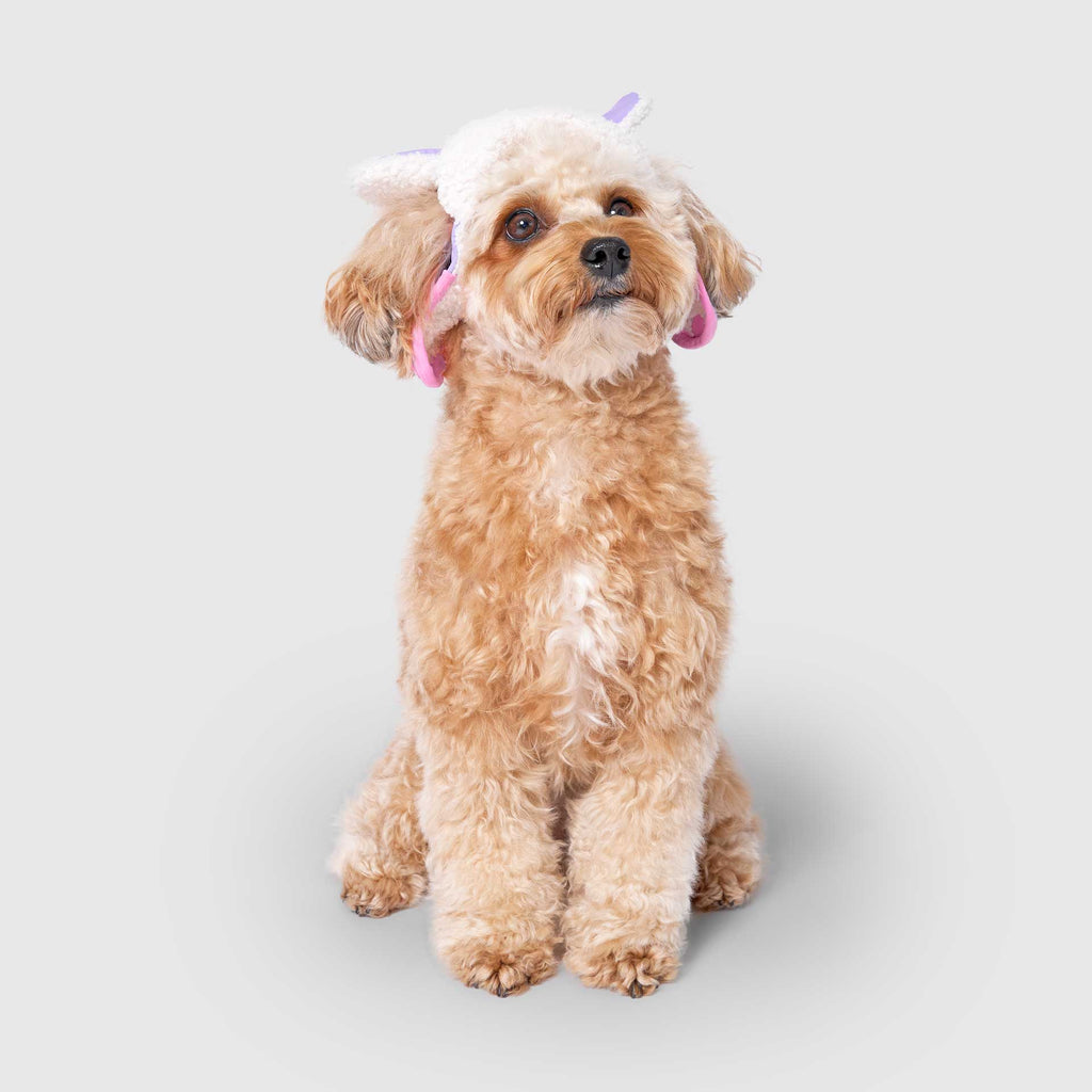 Cool Factor Aviator Hat