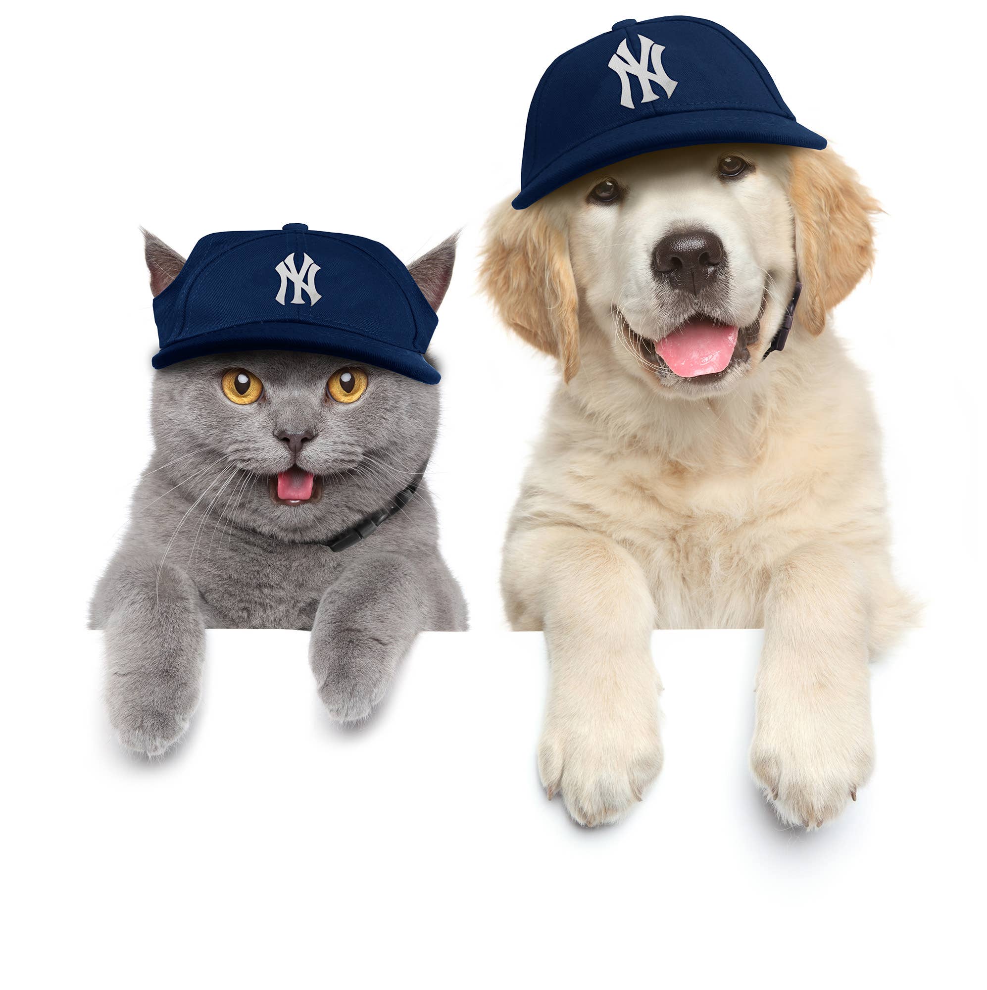 MLB New York Yankees Pet Baseball Hat