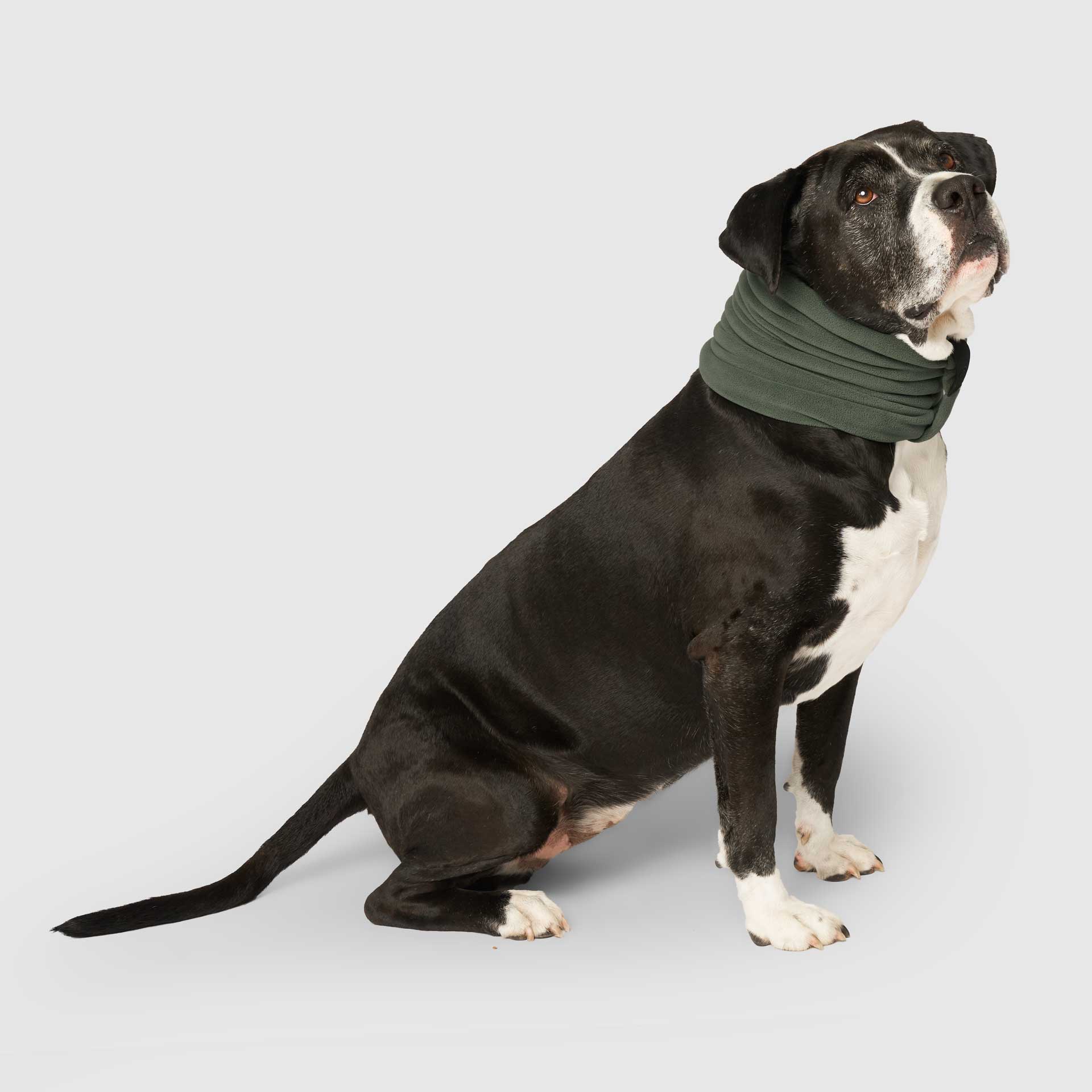 Stretch Fleece Scarf