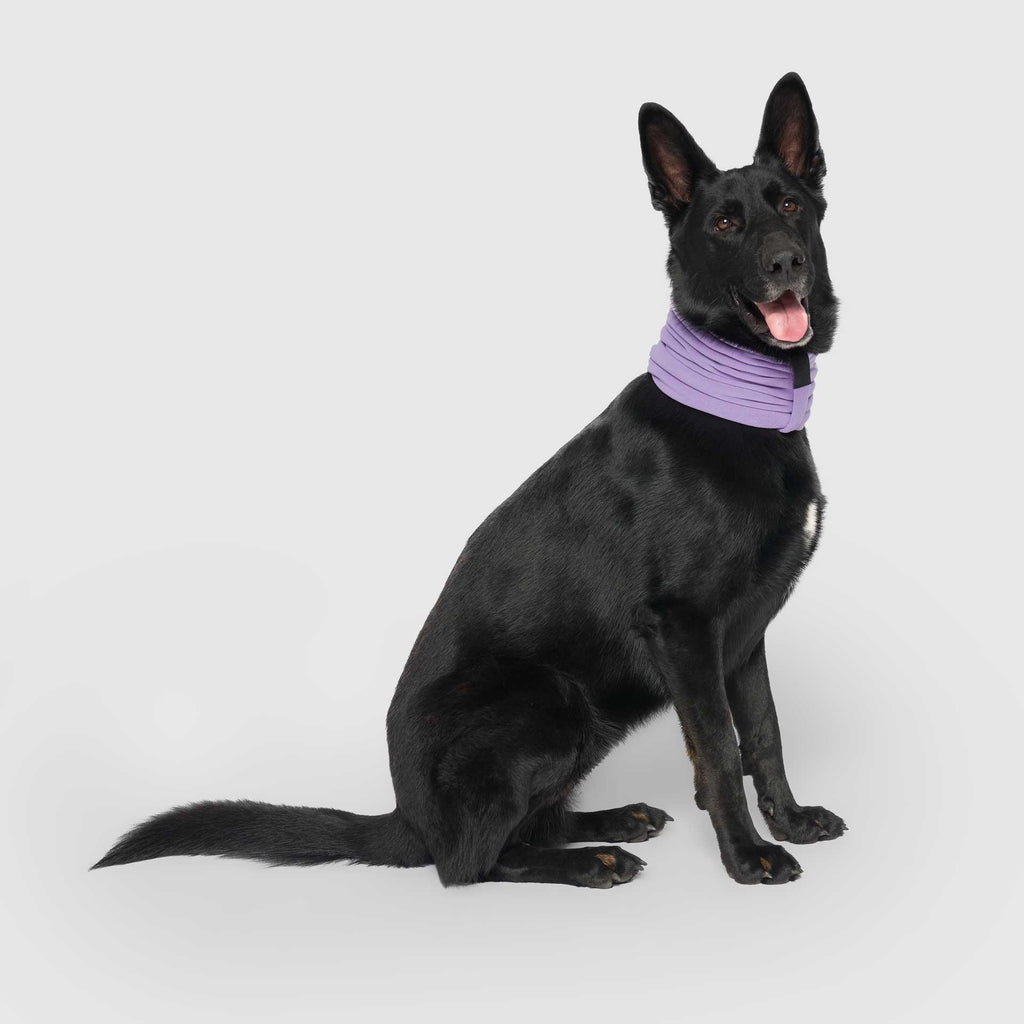 Stretch Fleece Scarf