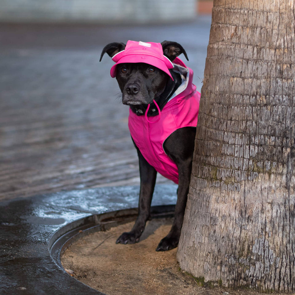 Torrential Tracker Rain Hat- Dog Hat