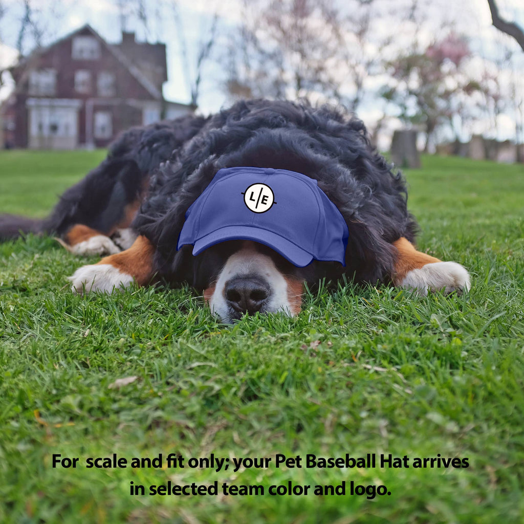 MLB New York Yankees Pet Baseball Hat