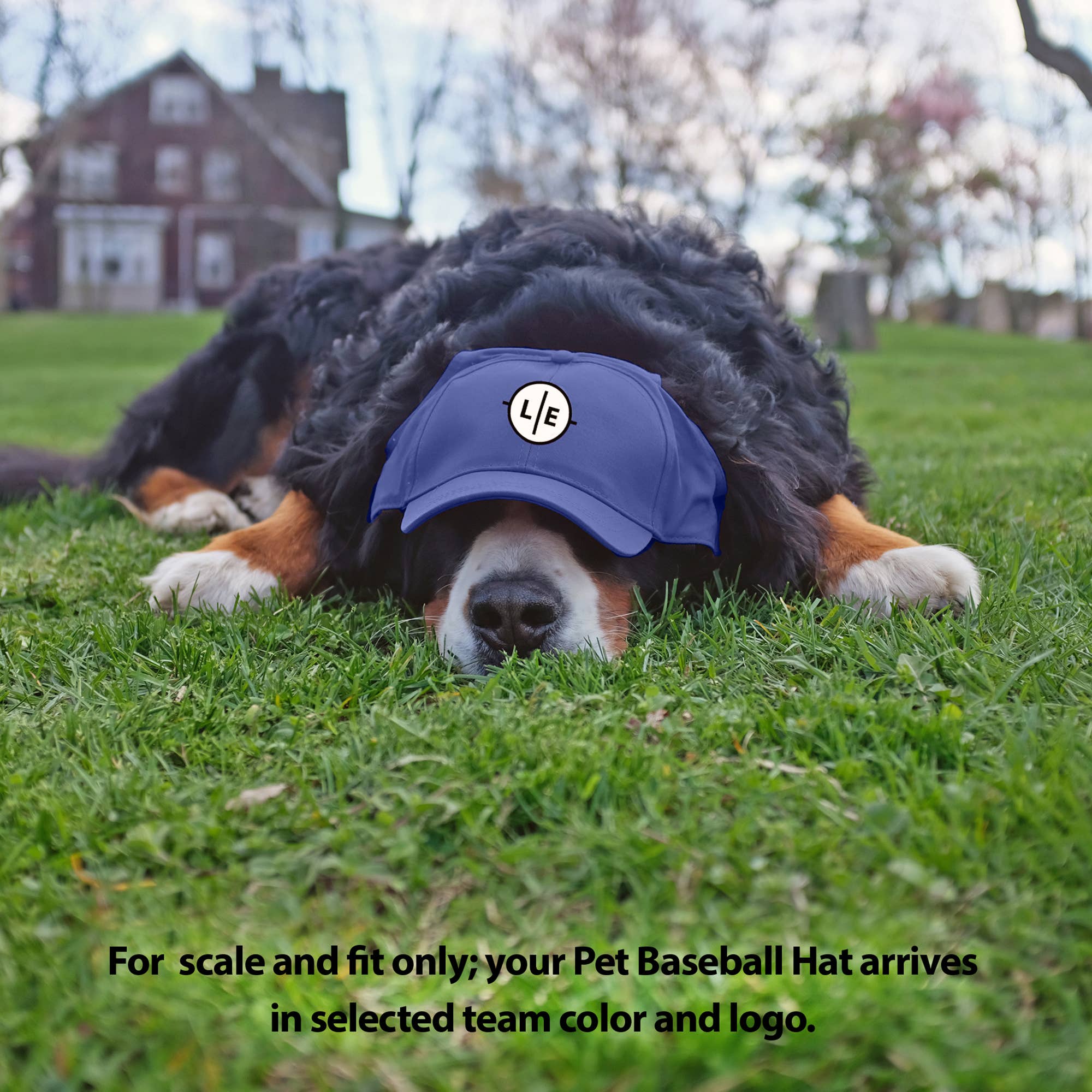 MLB New York Yankees Pet Baseball Hat