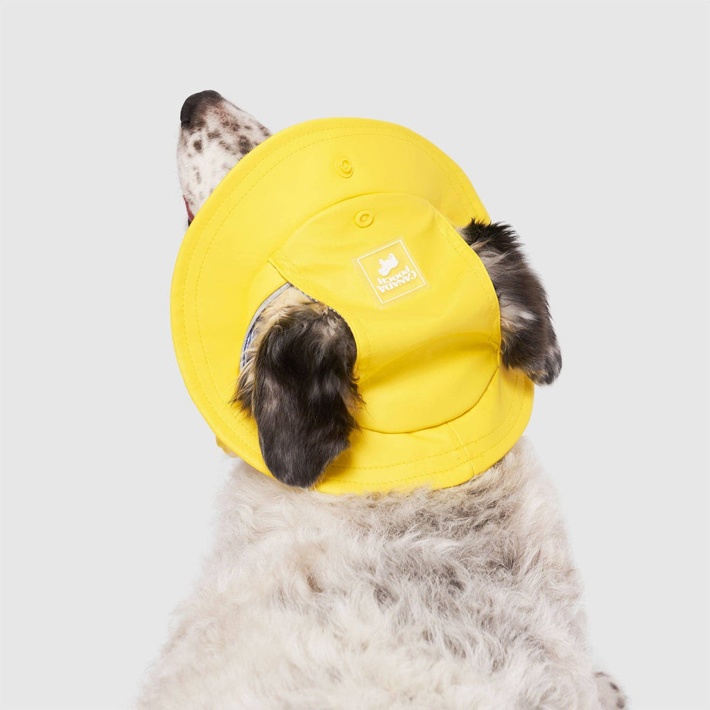 Torrential Tracker Rain Hat- Dog Hat