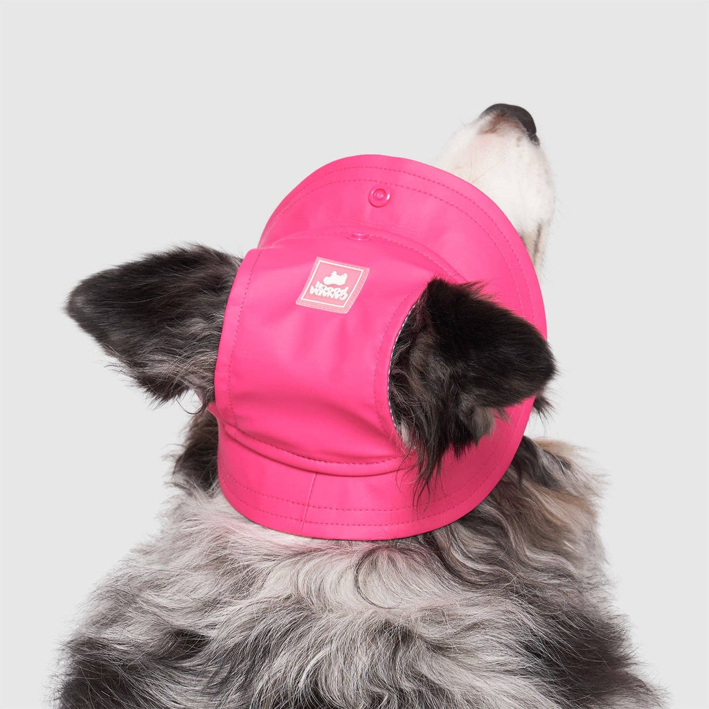 Torrential Tracker Rain Hat- Dog Hat