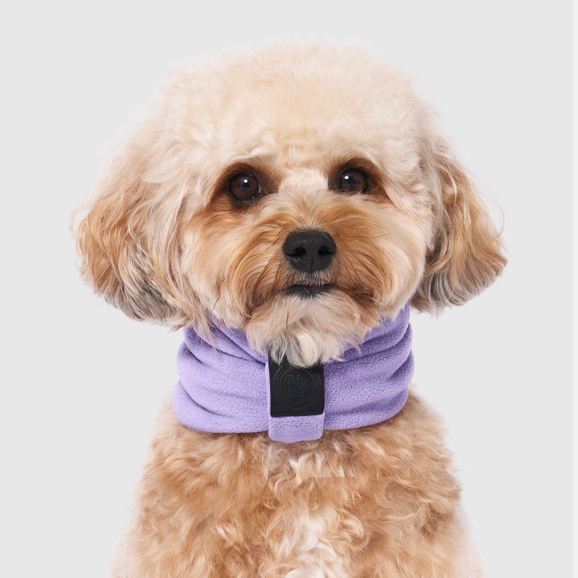 Stretch Fleece Scarf