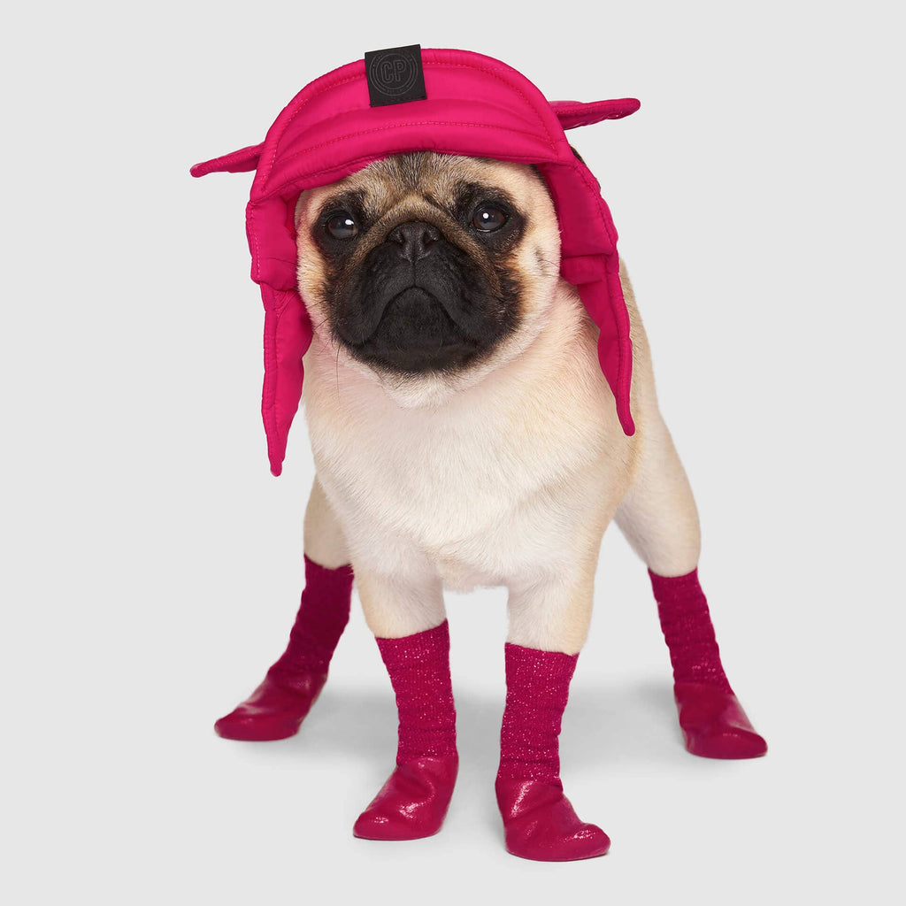 Puffer Hat- Dog Hat