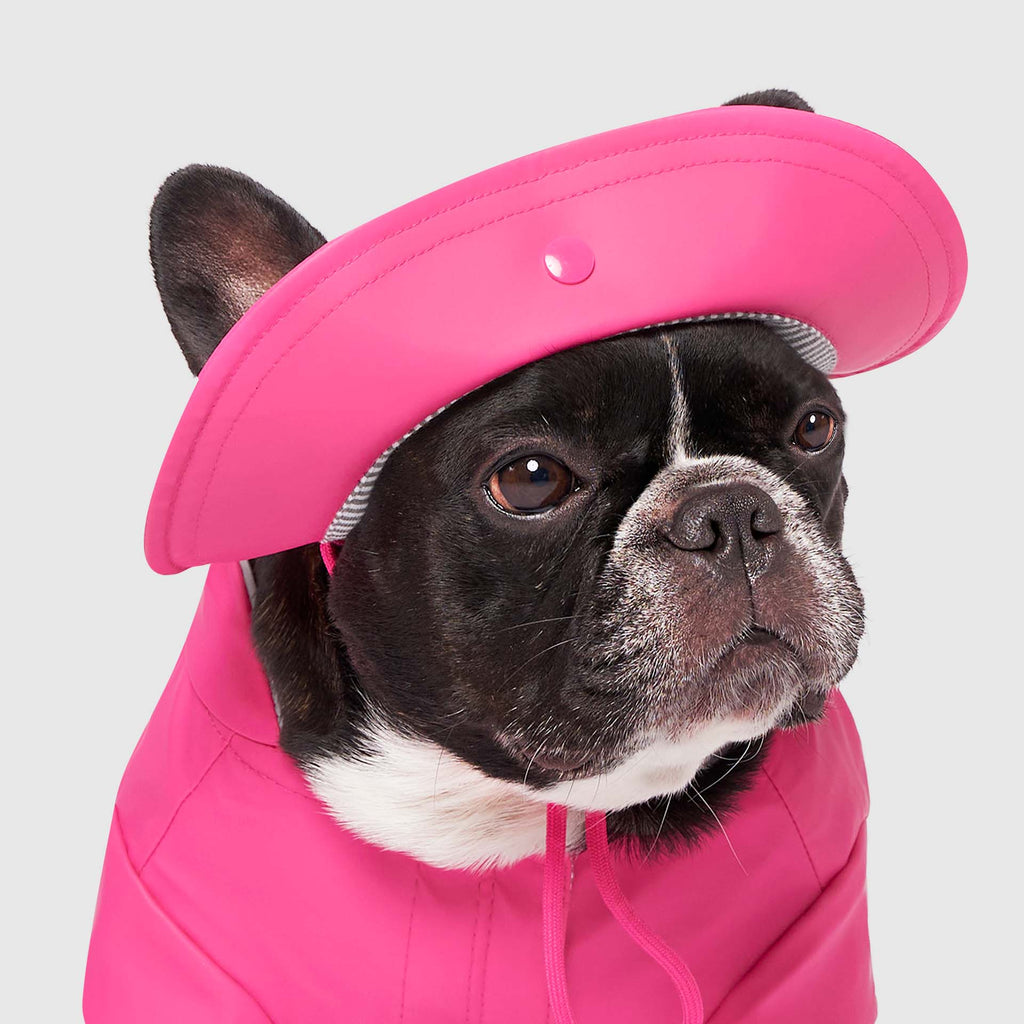 Torrential Tracker Rain Hat- Dog Hat