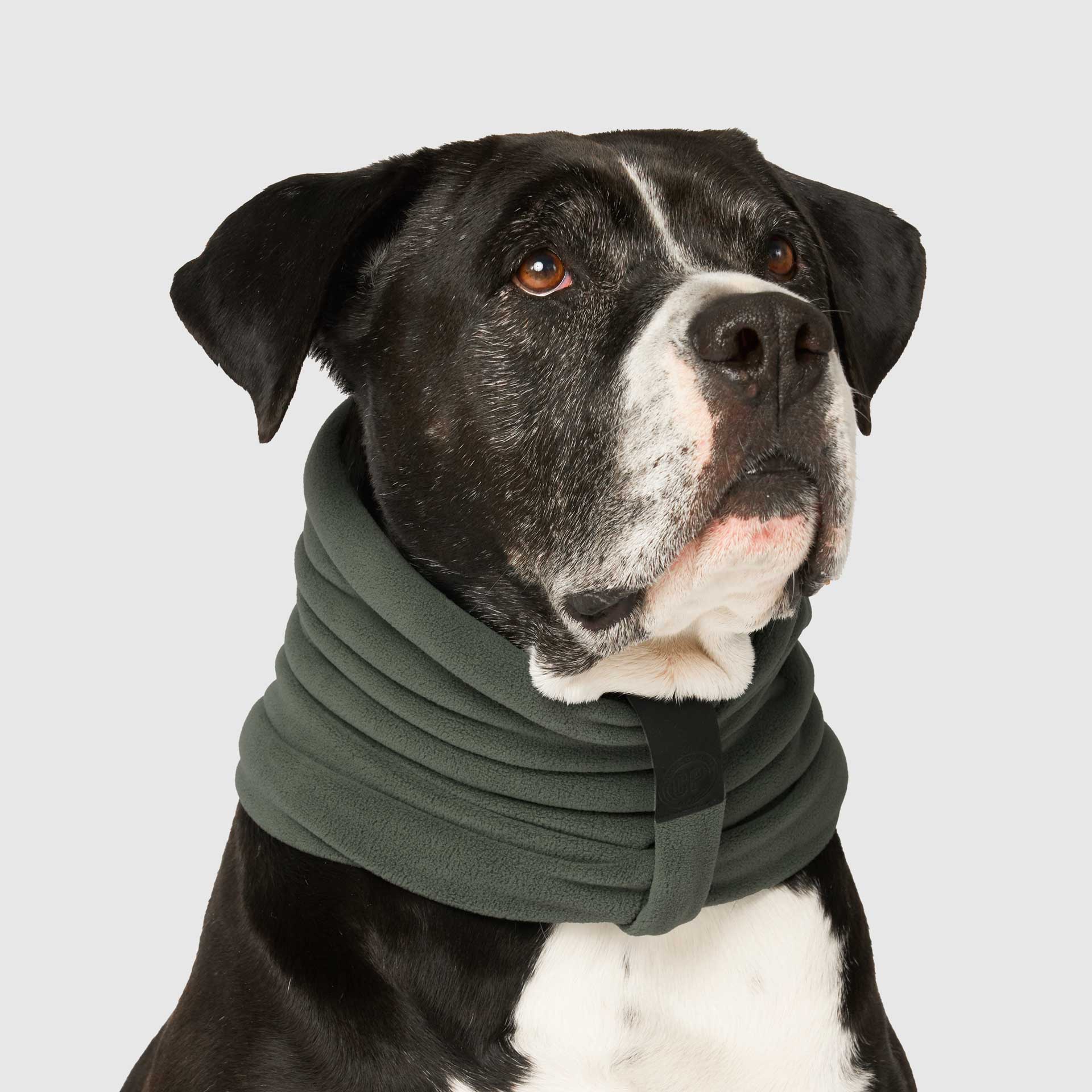 Stretch Fleece Scarf