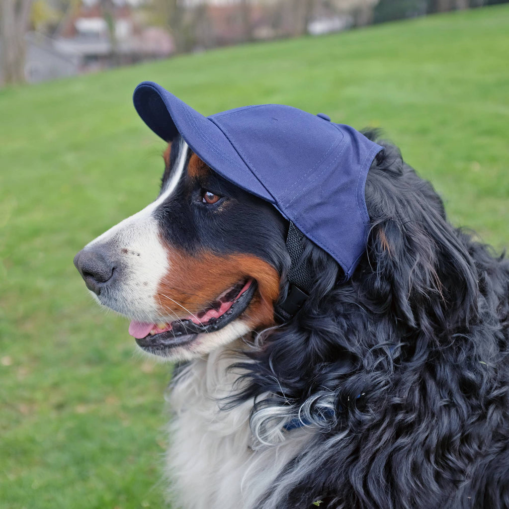 MLB New York Yankees Pet Baseball Hat